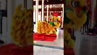 Vietnam Lion Dance [upl. by Johann874]