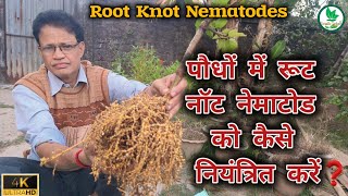 पौधे में सूत्रकृमि को कैसे नियंत्रित करें  How to control nematodes in plant [upl. by Pitzer]