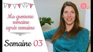 3ème semaine de grossesse – Les nausées [upl. by Savell966]