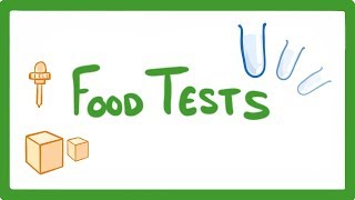 GCSE Biology  Food Tests Practicals 16 [upl. by Duaner]