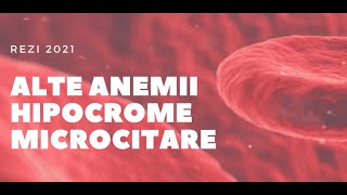 Rezi 2021  Hematologie  Alte Anemii hipocrome microcitare [upl. by Yemiaj]