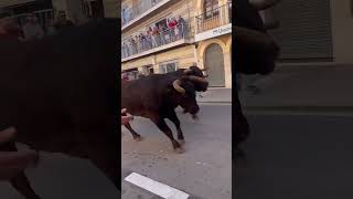 Entrada de 20 toros de Fernando Machancoses en Cheste Vlc [upl. by Cati20]