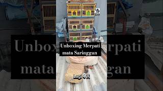 Unboxing Merpati Mata Saringgan  merpati shorts saringgan jigears [upl. by Thagard]