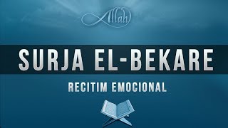 Surja el Bekare [upl. by Analle]