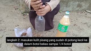 TUGAS IPAS CARA MEMBUAT POC DARI KULIT PISANG [upl. by Killy250]