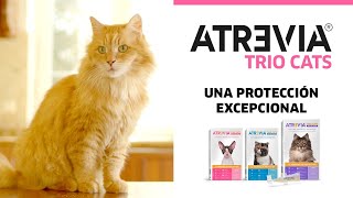 Atrevia® Trio Cats  Una Protección Excepcional para tu Gato [upl. by Arahsat]