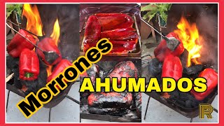 🌶Morrones AHUMADOS en aceite  Conserva de morrones o pimientos  shorts [upl. by Korff633]