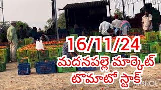 161124 Madanapalle Tomato Market price Today  Today Tomato Market Rate in Madanapalle today [upl. by Darwin392]