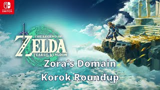 Zoras Domain Korok Roundup  Zelda Tears of the Kingdom  100 Walkthrough Playthrough Guide 111 [upl. by Uranie146]