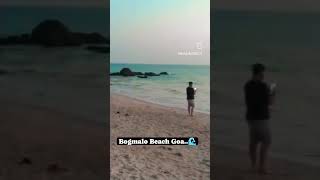 Bogmalo beach Goa🌊 [upl. by Yrogiarc]