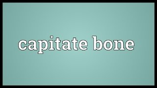 Capitate bone Meaning [upl. by Atteynod]