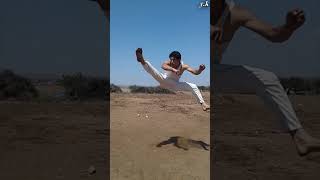 THE MOST DIFFICULT KICKS IN TAEKWONDO  MartialArtsExcellence [upl. by Aidole99]