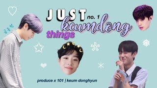 JUST KEUM DONGHYUN 금동현 THINGS 1 PRODUCE X 101 [upl. by Krever416]