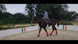 CHRISTURAJ RIDING CLASS BANGALORE INDIA [upl. by Alisun]