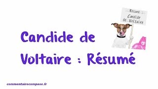 résumé Candide [upl. by Yoshi]