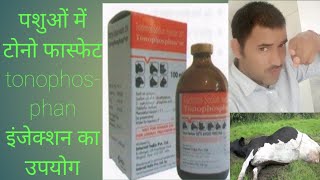 Tonophosphan injection उपयोग के बारे में बताया गया हैgunjelvetpet [upl. by Oizirbaf]