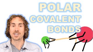 Polar Covalent Bonds [upl. by Ulah]