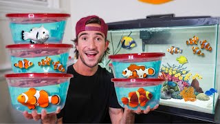 I Bought CLOWNFISH from the FISH STORE to Surprise my Best Friend [upl. by Ettennil]