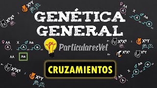 📋CRUZAMIENTOS 📌 Estructura 📌 Genética general [upl. by Eciralc]