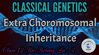 Extra Chromosomal Inheritance in tamil  Cytoplasmic inheritance  Classical Genetics [upl. by Meill]