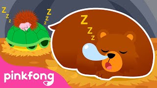 Hibernation Hotel  Storytime with Pinkfong and Animal Friends  Cartoon  Pinkfong for Kids [upl. by Nilekcaj]