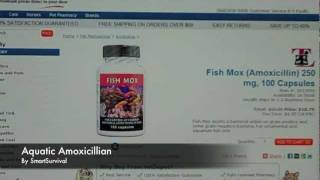 Aquatic Amoxicillin for Backup Medication [upl. by Nannarb]