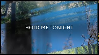 Metronomy  Hold me tonight ft Porridge Radio Lyric Video [upl. by Aenehs]