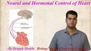 Neural and Hormonal Control of Heart Beat neuralhormonalcontrolofheart [upl. by Deegan]