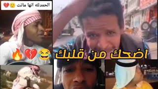 هو عمل اي في الدنيا دي 😂💔🔥مقالبكوميدياضحكفيديوهات مضحكة جدا جدا 😂💔 [upl. by Augy]