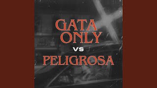 Gata Only Vs Peligrosa [upl. by Eidarb]