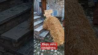 Festa della Vendemmia wine [upl. by Dietsche]