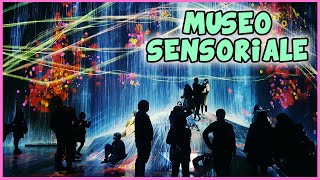 Museo sensoriale TeamLab in Giappone [upl. by Ekyt735]