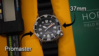 37mm CITIZEN Promaster Dive EcoDrive Pro Diver Best Dive Watch for Smaller Wrists Solar EO202008E [upl. by Tace]