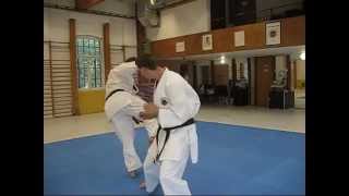 Karate Kicking  Ushiro Mawashi Geri 後ろ回し蹴り [upl. by Erbes150]