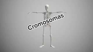 Cromosomas medicinauy [upl. by Nyleek331]