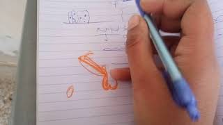 EPITHELIUM of HISTOLOGY easy expplanaton part 2 [upl. by Selima]