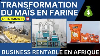 Transformation du MAÏS en Farine  Un Business en OR en AFRIQUE [upl. by Berck643]