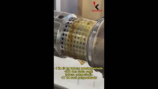 NF100Cold Press Fish Oil MachineFish Oil Extraction Equipmentbalık yağı makinesishorts [upl. by Savart]