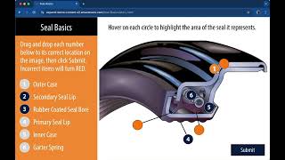 Portfolio Samples  Timken Seal Basics [upl. by Karyn]