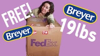 UNBOXING 19lbs of FREE Breyer Model Horses [upl. by Enogitna]