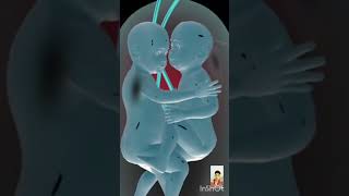 Incredible Moments Inside The Womb Documentary [upl. by Lladnarc795]