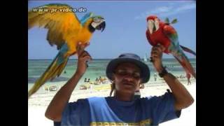 Farbenprächtige Papageien als Fotomotiv am Traumstrand Playa Bavaro  Karibik [upl. by Zia]