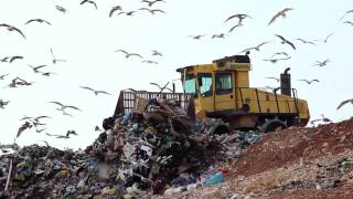 Landfill facts and statistics  A global problem [upl. by Doloritas]