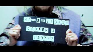 Epic Moment  Ending Film Hot Fuzz [upl. by Oenire]