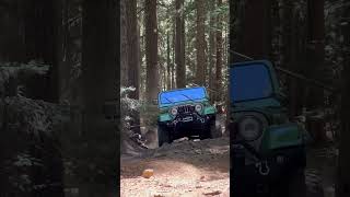 CJ Does a Wheelie jeep cj5 [upl. by Ahsercul307]