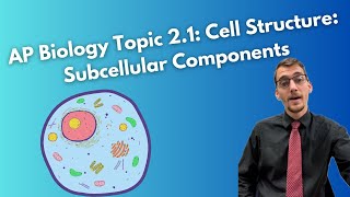 21 Cell Structure Subcellular Components  AP Biology [upl. by Malha]