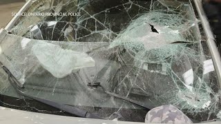 Police in Ont investigating people throwing rocks at moving vehicles [upl. by Molini]