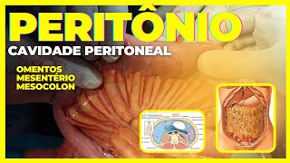 PERITÔNIO cavidade peritoneal omento mesentério e mesocolon [upl. by Enomsed637]