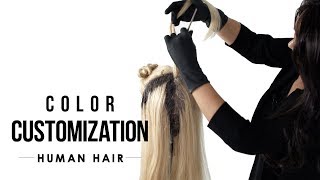 HOWTO Color Customize RN Human Hair Wig  Human Hair Care [upl. by Nenney195]