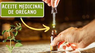 Como Hacer Aceite Medicinal De ORÉGANO En Casa 🌿 Grandes Beneficios [upl. by Annaujat]